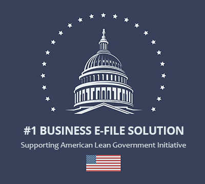 American Lean Government Initiative
