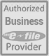 authorized business efile provider